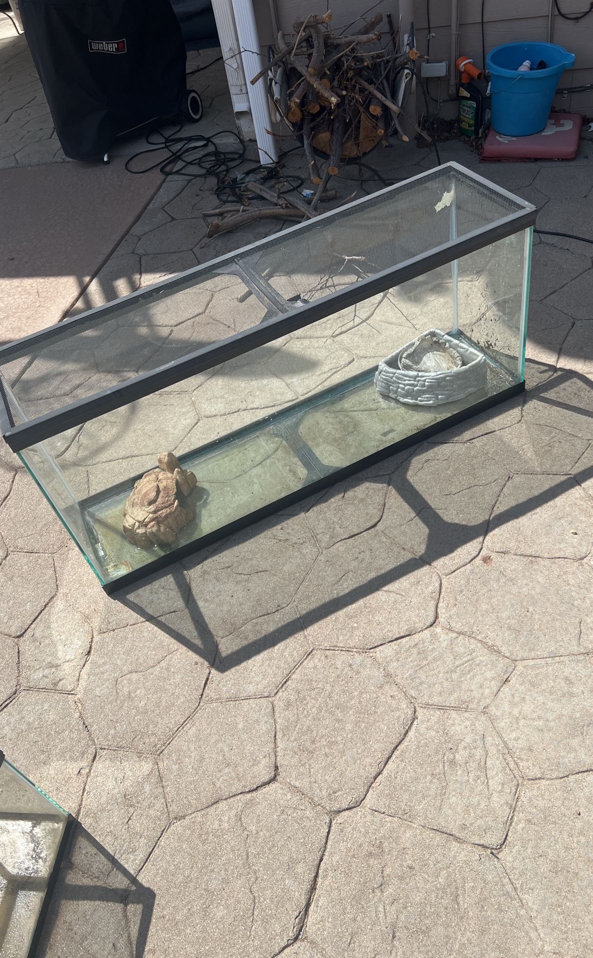 Terrarium 