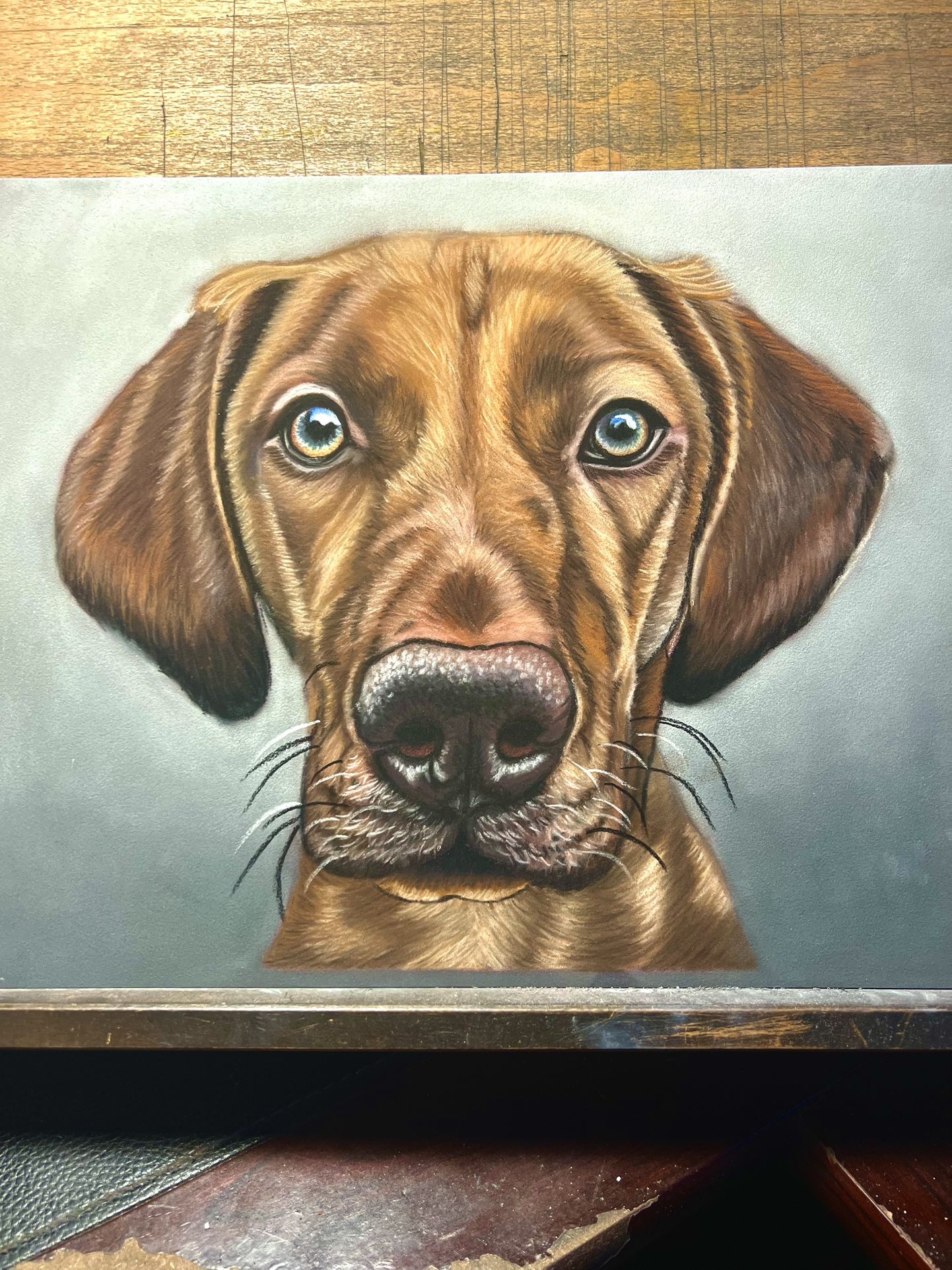 Dog Portrait Done With Pastel Pencils Selling For $50