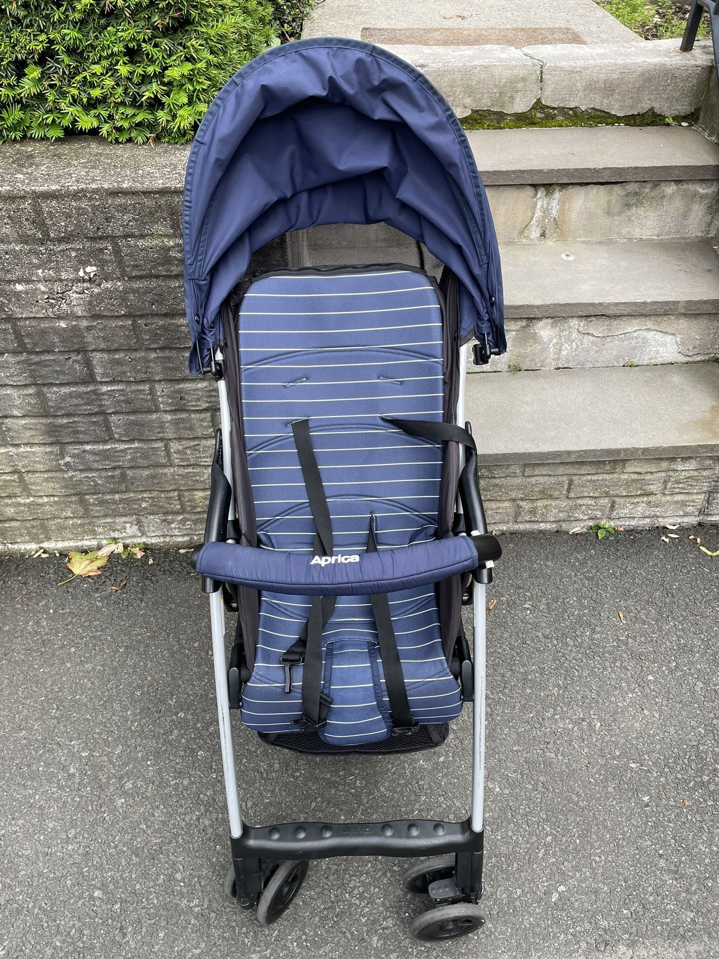 Stroller for 1-4 year old Kids!