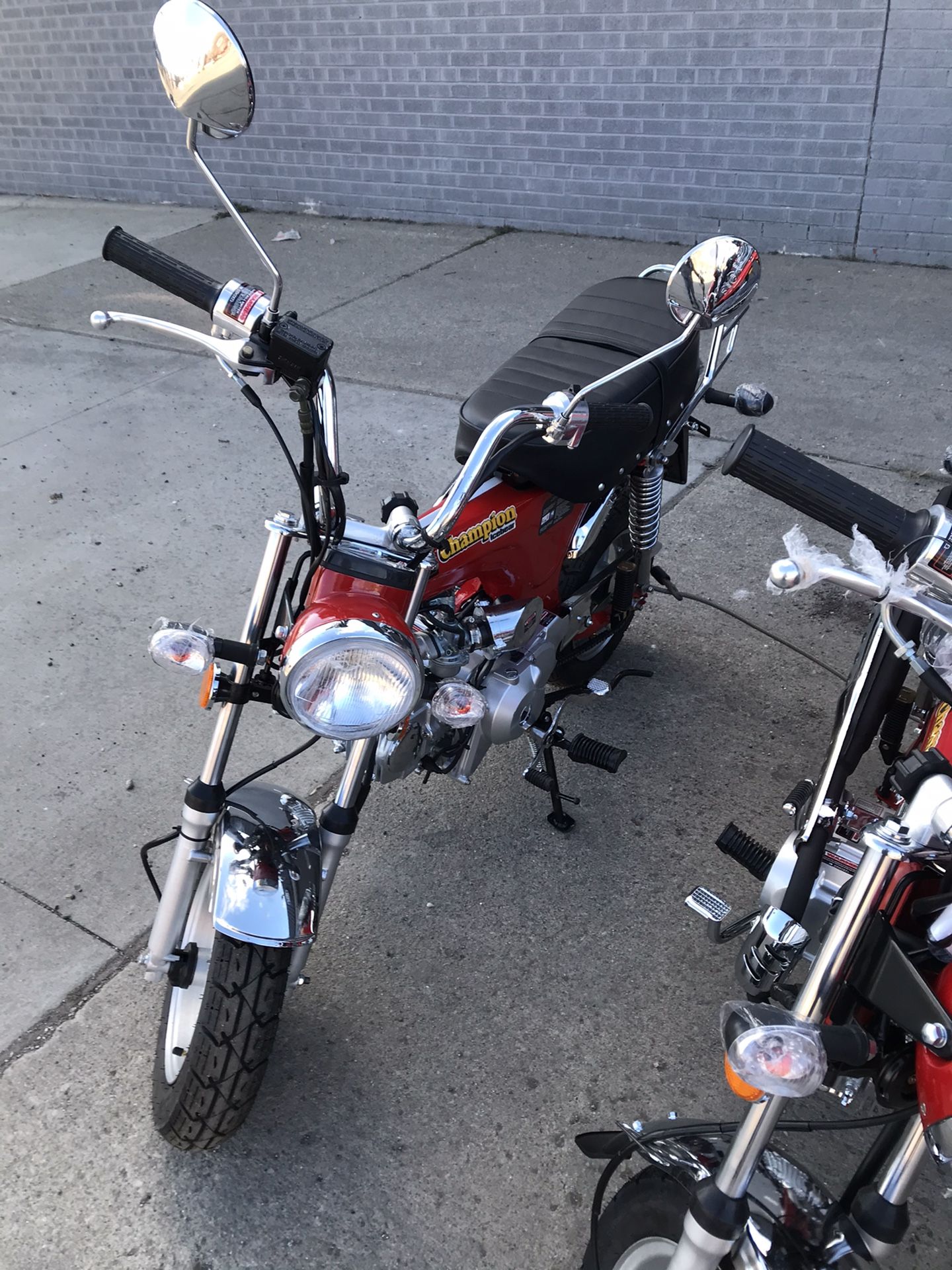 IcyBear★ Ice Bear Champions