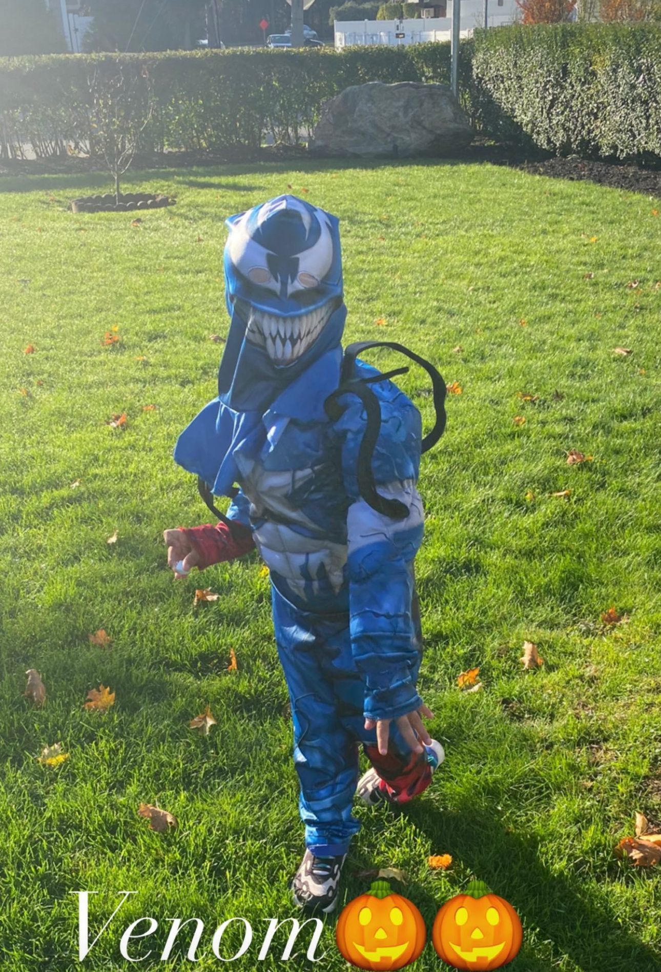 Venom Costume 3/4