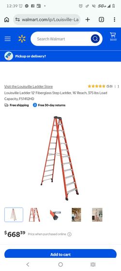 12 foot ladder