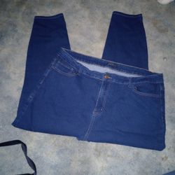 Silver Crush Ladies/Junior Jean Jeggings Size 24