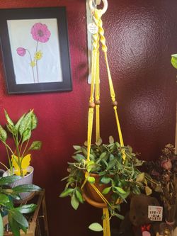 Handmade Yellow Macrame Plant Hanger