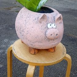 New Pig Face Garden Planter High Quality Drain Hole