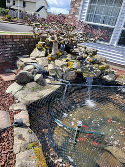 Ponds Maintenance