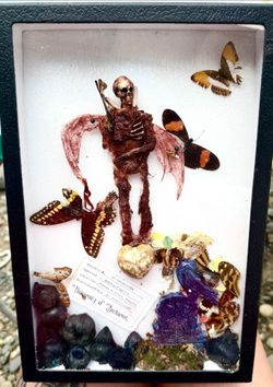 Real insect specimen taxidermy art pieces