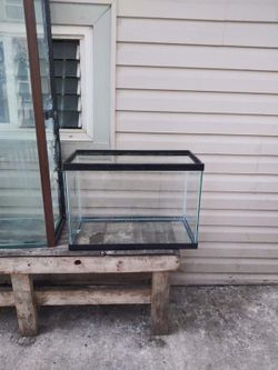 20 gallon tank
