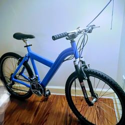 BMW Folding Bike 