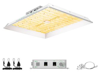 Grow light