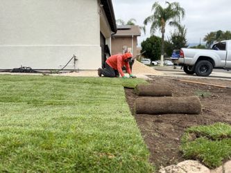 Fresh Sod and Sprinklers, Drips, Irrigation, Leaks