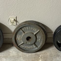 35lbs Plates