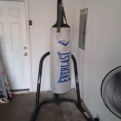Everlast Punching Bag
