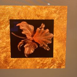 Gold plated brooch pin (brand new)