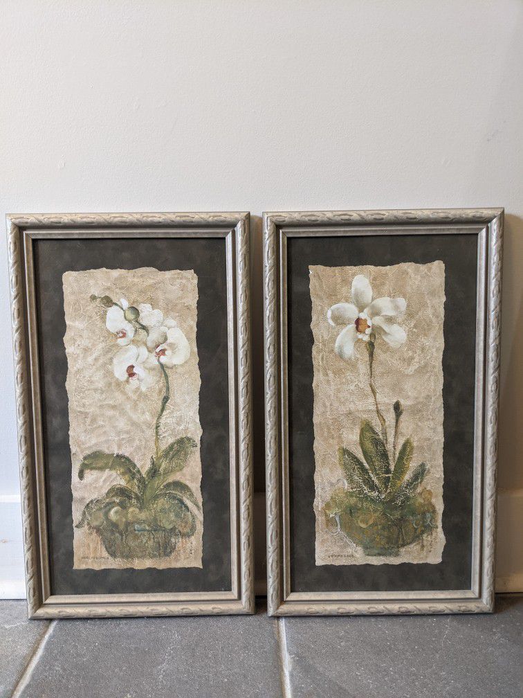 Framed Floral Decorative Orchid Print Set (set of 2) Frames/Matted Sympodial