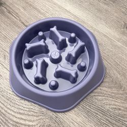 Slow eating dog bowl 