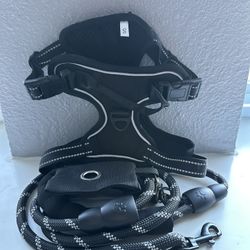 Small Dog harness & leash