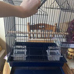 Parakeet And Small Bird Cage