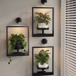 Bamworld Hanging Planters for Indoor Plants Wall Decor  X((429)