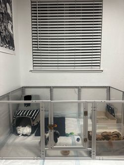 Cage