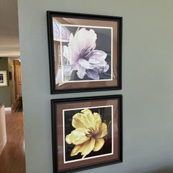 Framed Flower Art