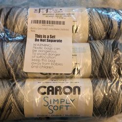 Caron Simply Soft Ombre "Stormy Weather" 3 Skeins 204 Yds Per Skein New Unopened 