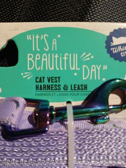 Cat Stuff  At Harness And Leash