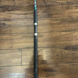 Saltwater Spinning Rod