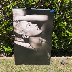 Marilyn Monroe Wall Art 