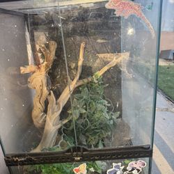 Enclosure