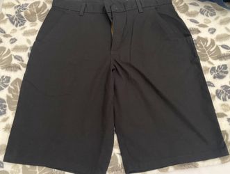 Dickies Regular Fit Men