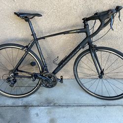 Tommaso Fascino Road Bike $350 XL 58cm 