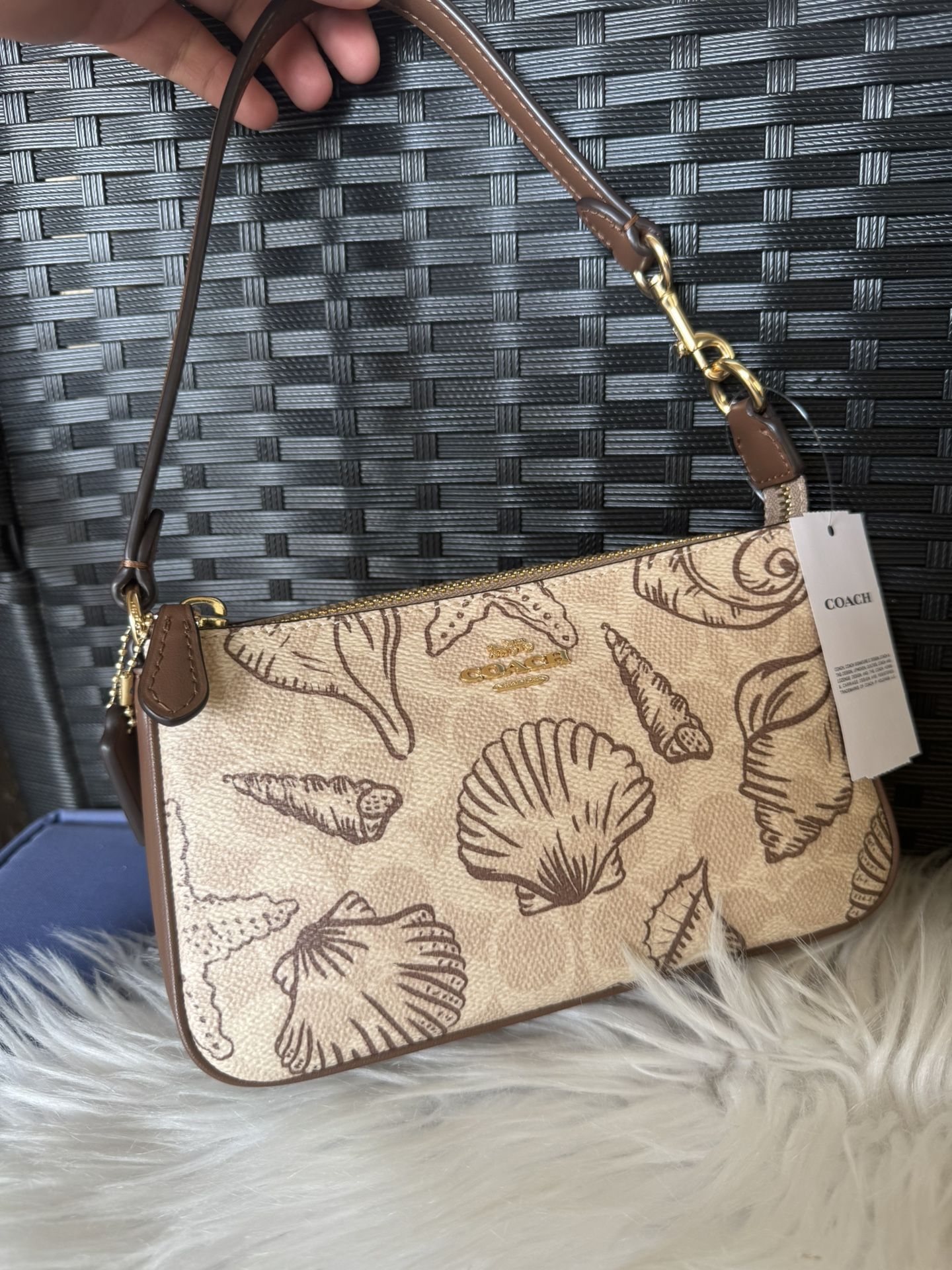 NWT Coach Nolita 19 With Shell Print Signature Canvas CBK79 Gold/Sand Multi