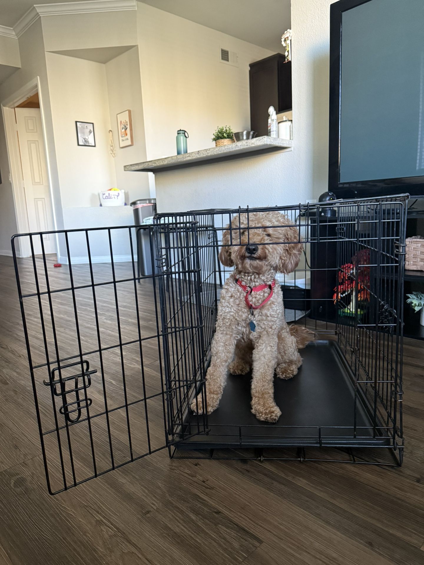 🐾 Small Dog Crate – 30”L x 19”W x 21”H