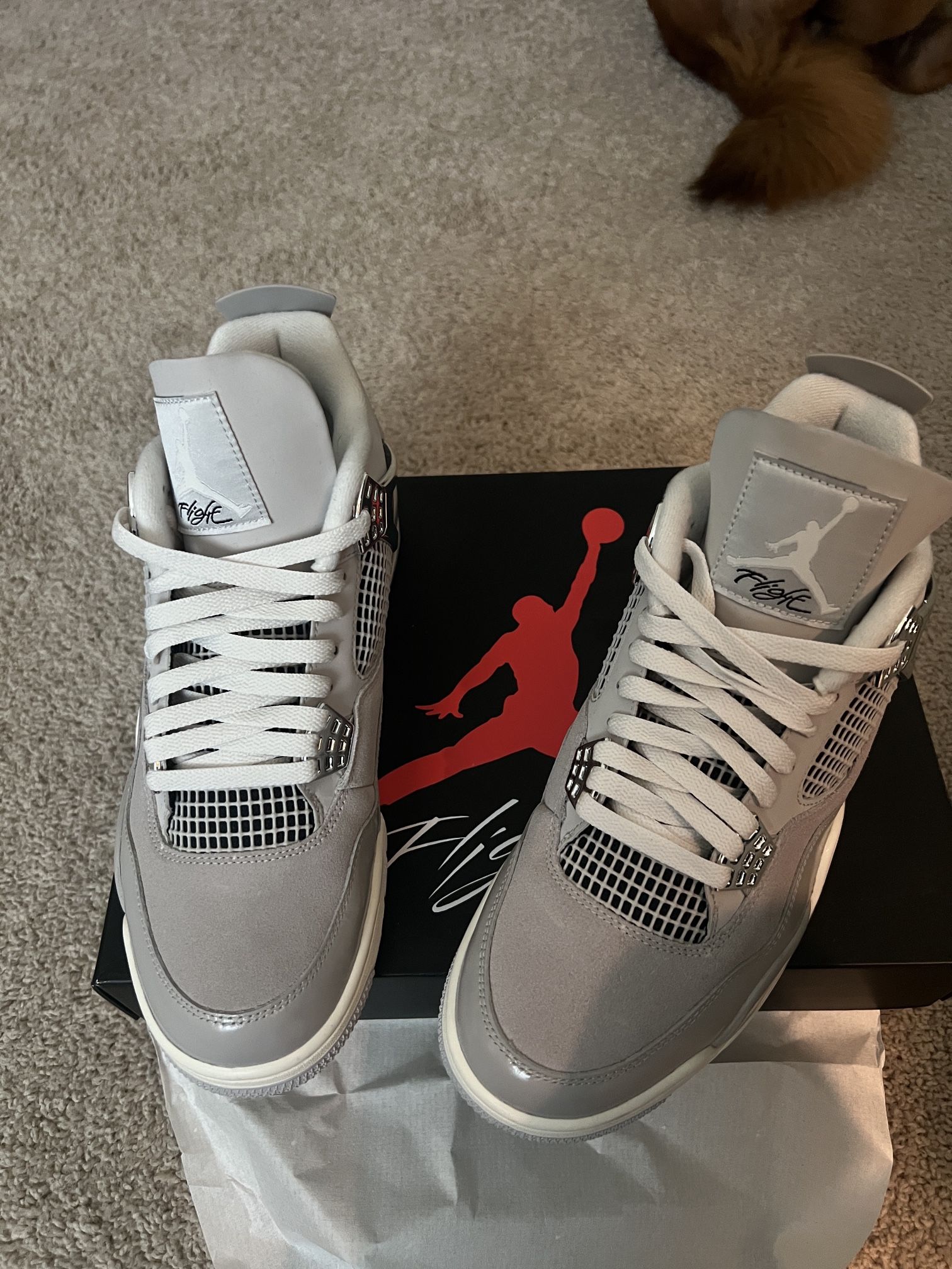 Jordan 4’s Frozen