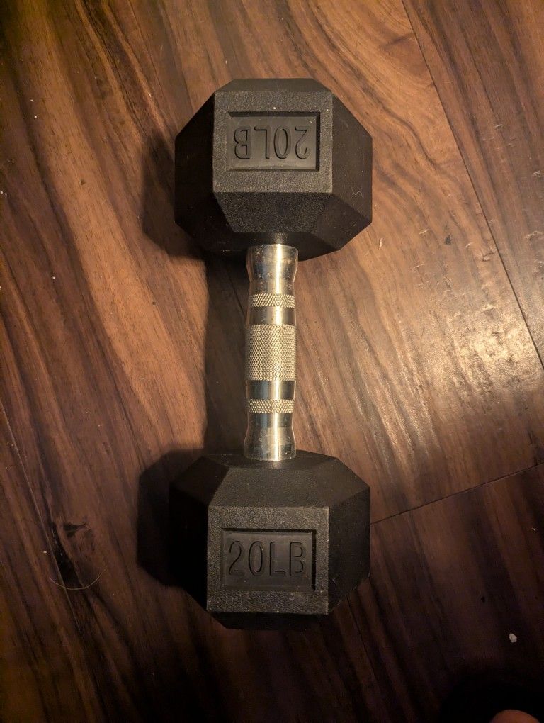 20LB Dumbbell