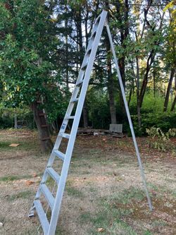 Tall Aluminum Orchard ladder