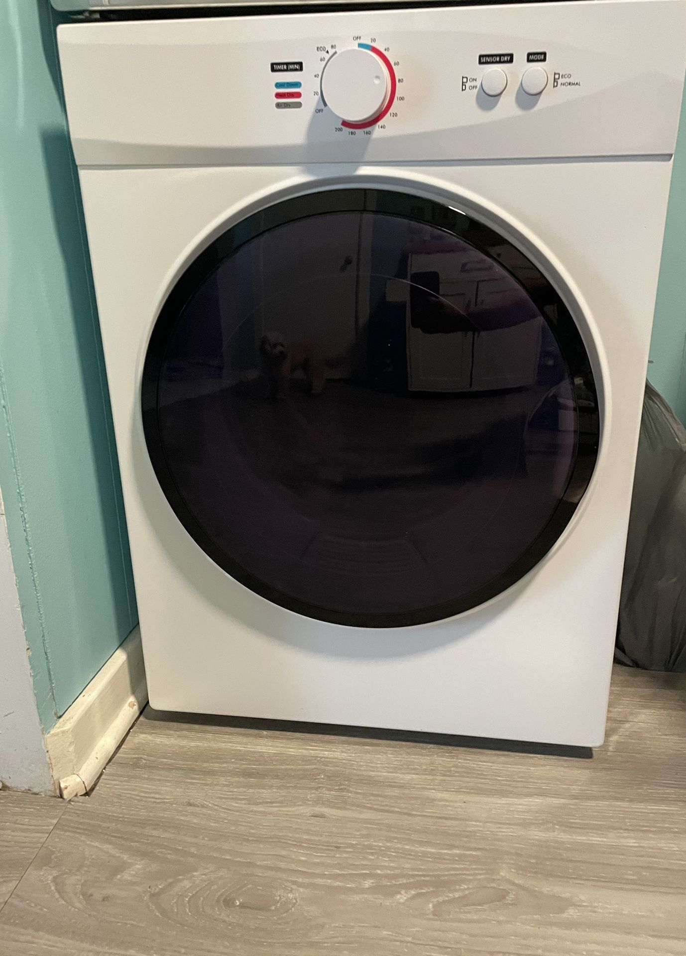 Portable Electric Dryer