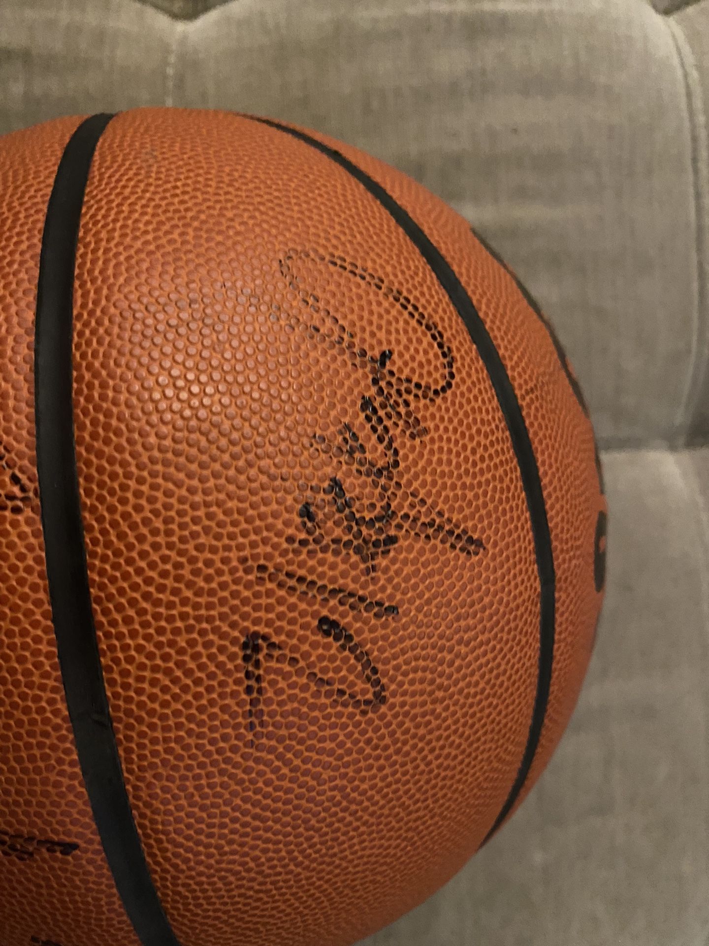 Wilson Evolution Blazers Signed Basketball