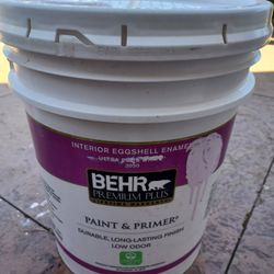 Behr Paint