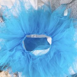 Ballet Tutu