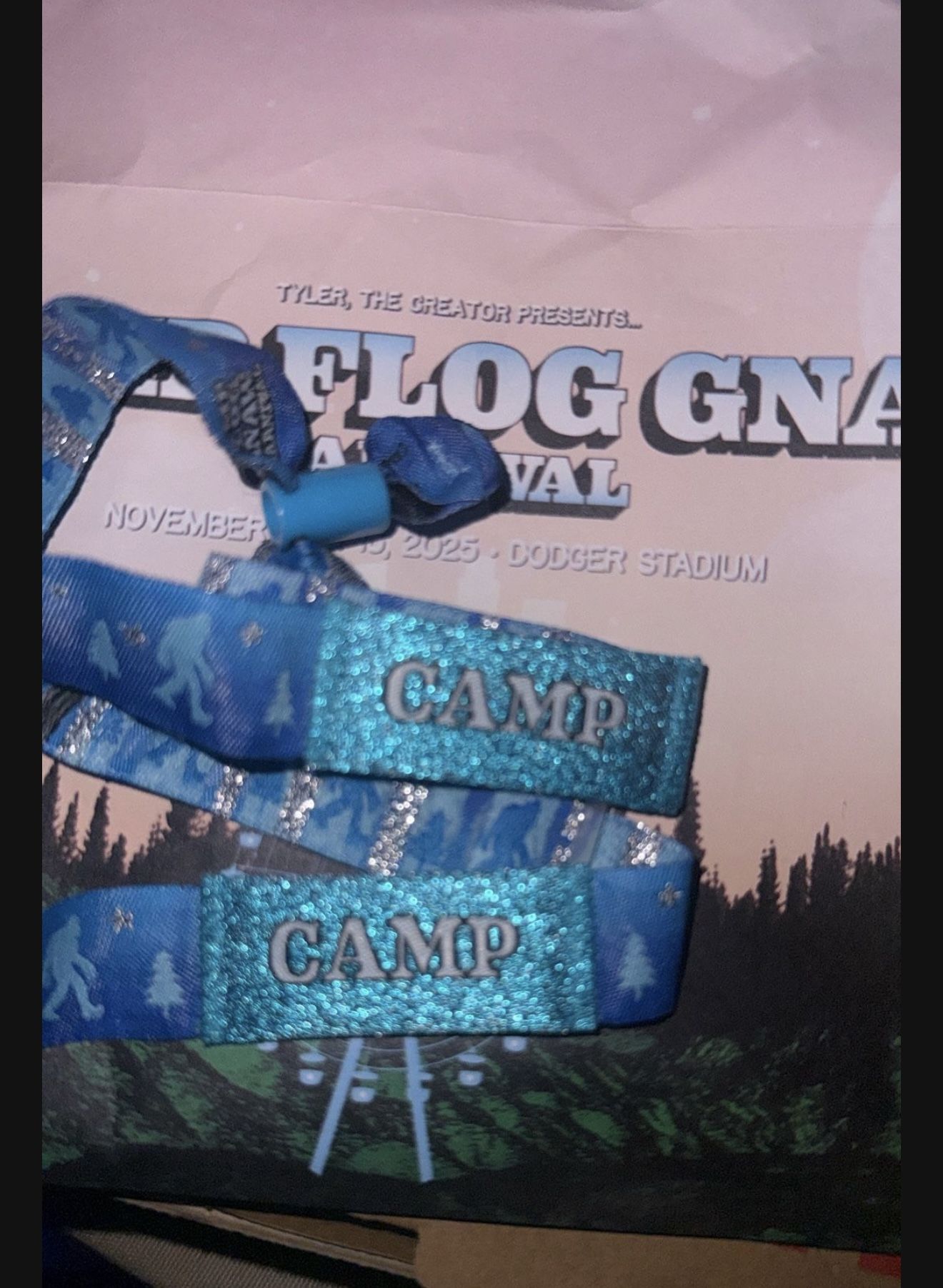 Camp Flog Gnaw Ticket
