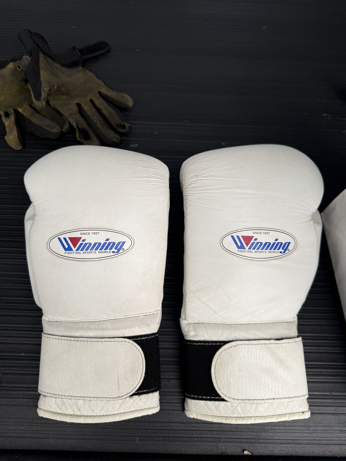 Winning Boxing Gloves