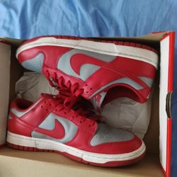 Nike Dunk Low Retro Sz 10