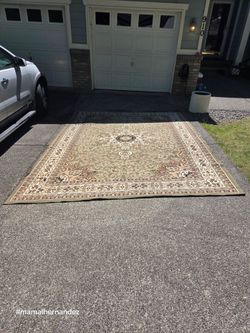 Big area rug