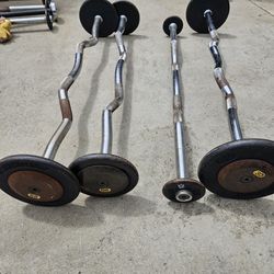 Fixed Curl Bars ( Weights)