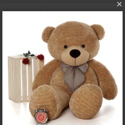 Teddy Bear And Ring For Sale 