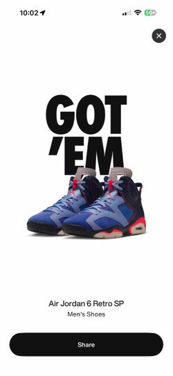 Awake Jordan 6 “Blueberry” Size 10.5
