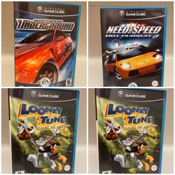 Nintendo Gamecube Bundle