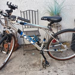 Chrome Gt Mountain Bike